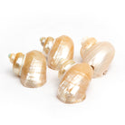 Shell Table Display Enzi - Love Anchor Bali