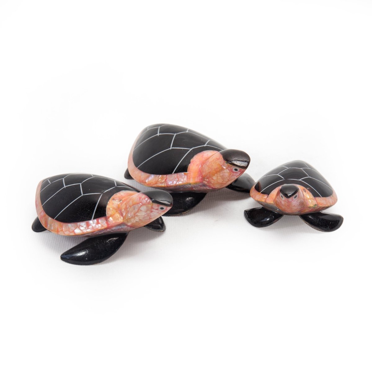 Shell Table Display Turtle 3 - Love Anchor Bali
